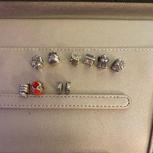 Pandora Charms